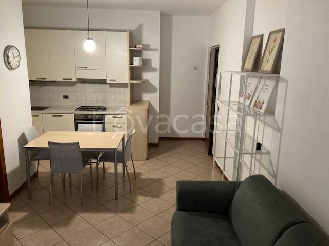 appartamento in affitto a Monza