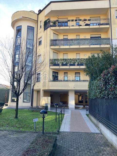 appartamento in affitto a Monza