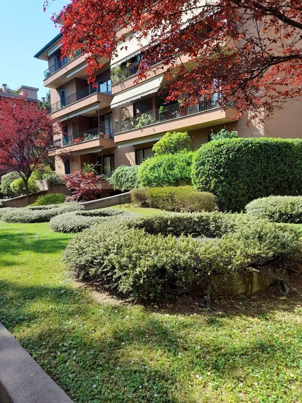 appartamento in affitto a Monza