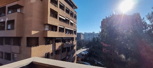 appartamento in affitto a Monza in zona Ospedale San Gerardo