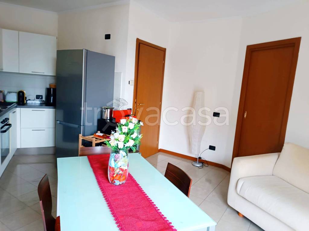 appartamento in affitto a Monza