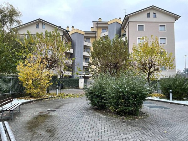 appartamento in affitto a Monza