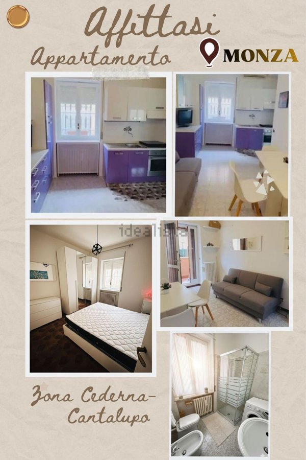 appartamento in affitto a Monza