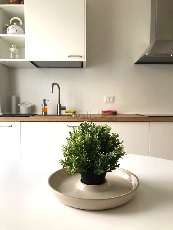 appartamento in affitto a Monza