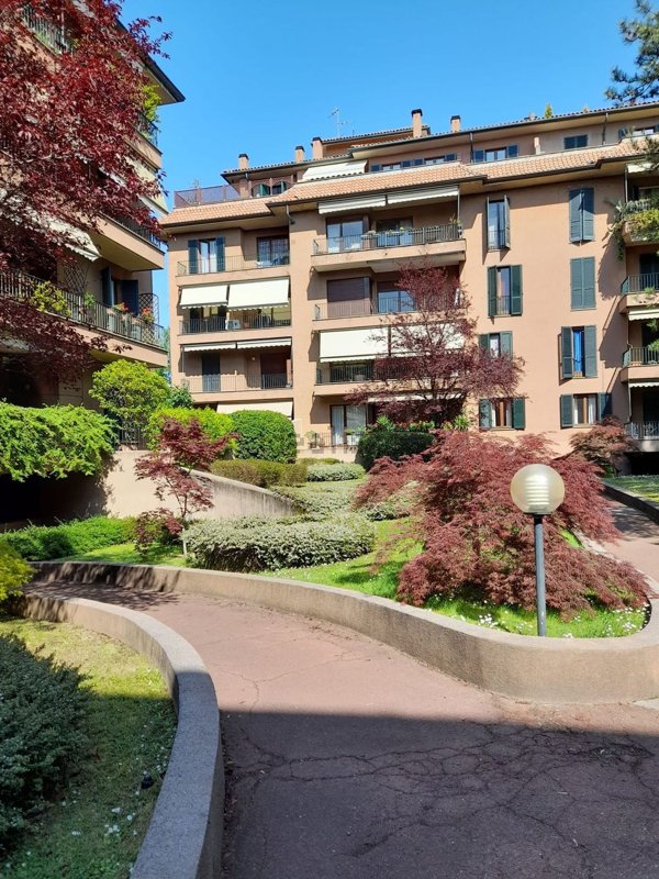 appartamento in affitto a Monza