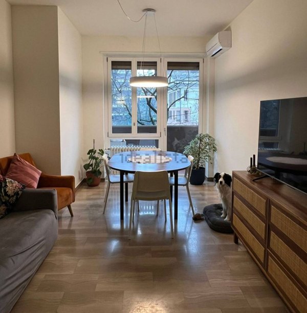 appartamento in affitto a Monza