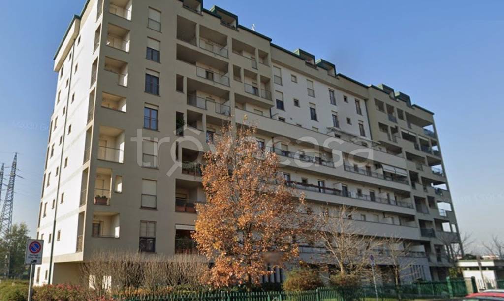 appartamento in affitto a Monza