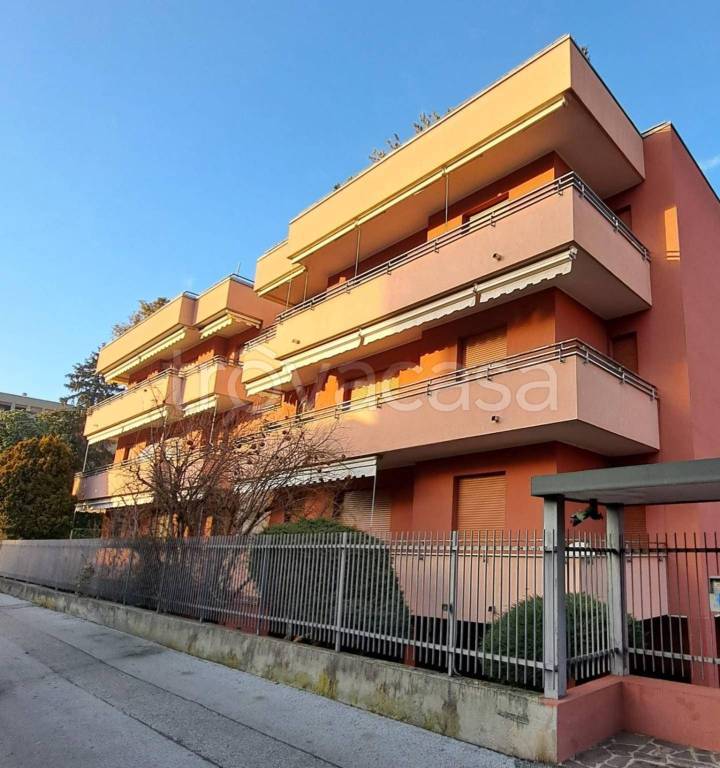 appartamento in affitto a Monza