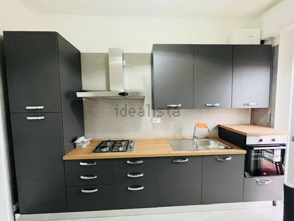 appartamento in affitto a Monza