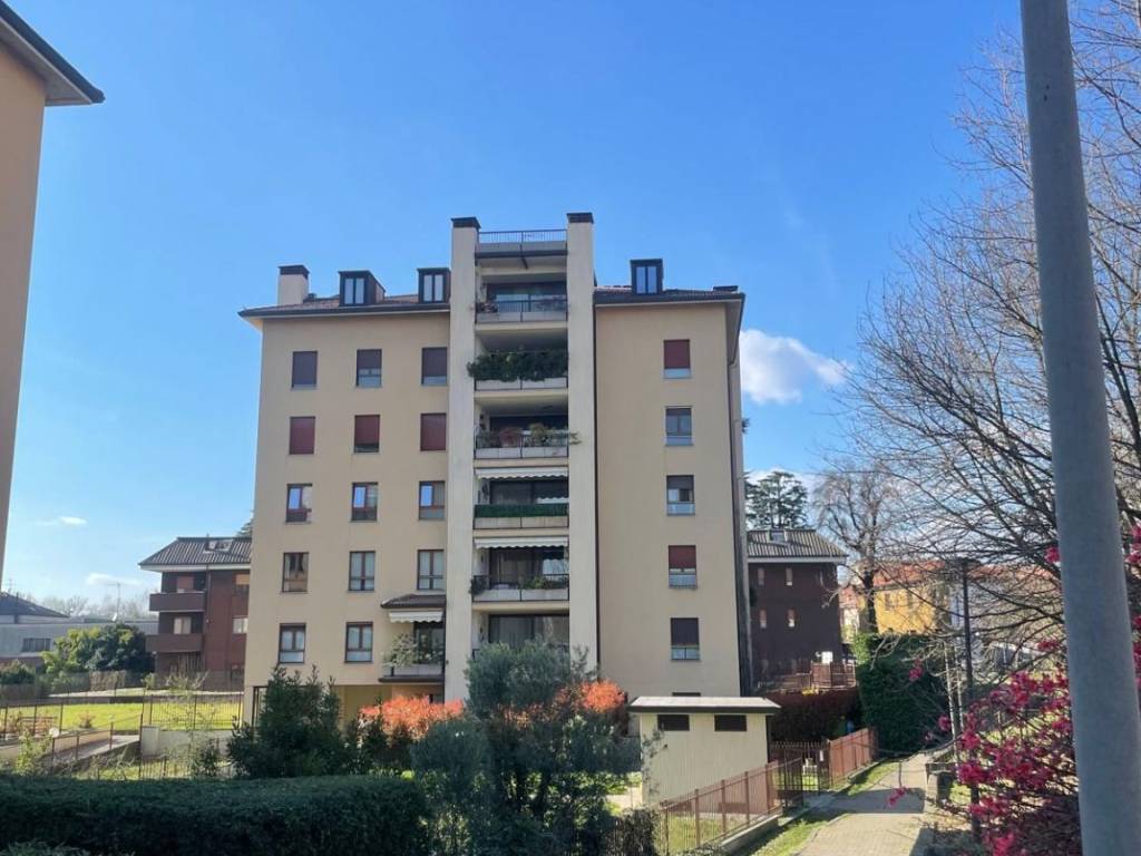 appartamento in affitto a Monza