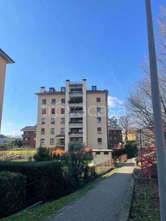 appartamento in affitto a Monza