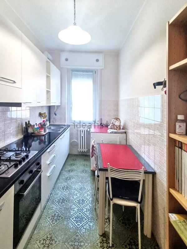 appartamento in affitto a Monza