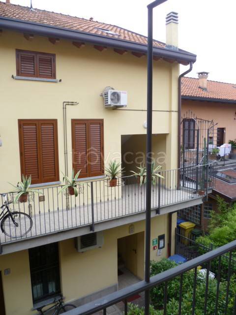 appartamento in affitto a Monza