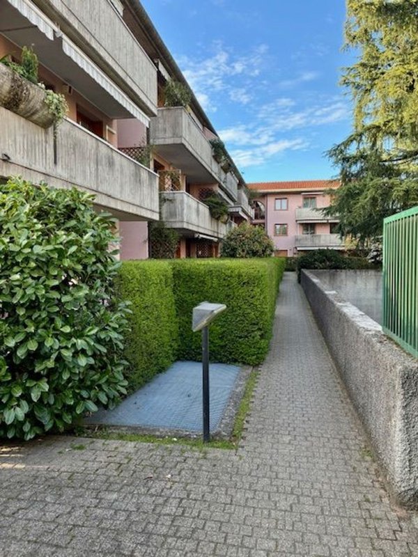 appartamento in affitto a Monza