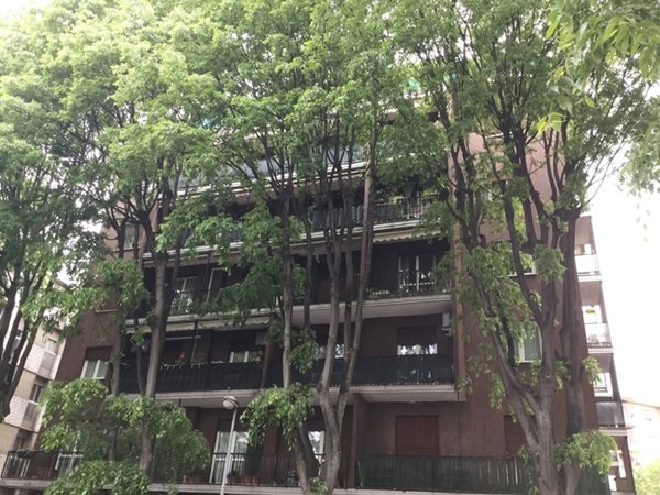 appartamento in affitto a Monza