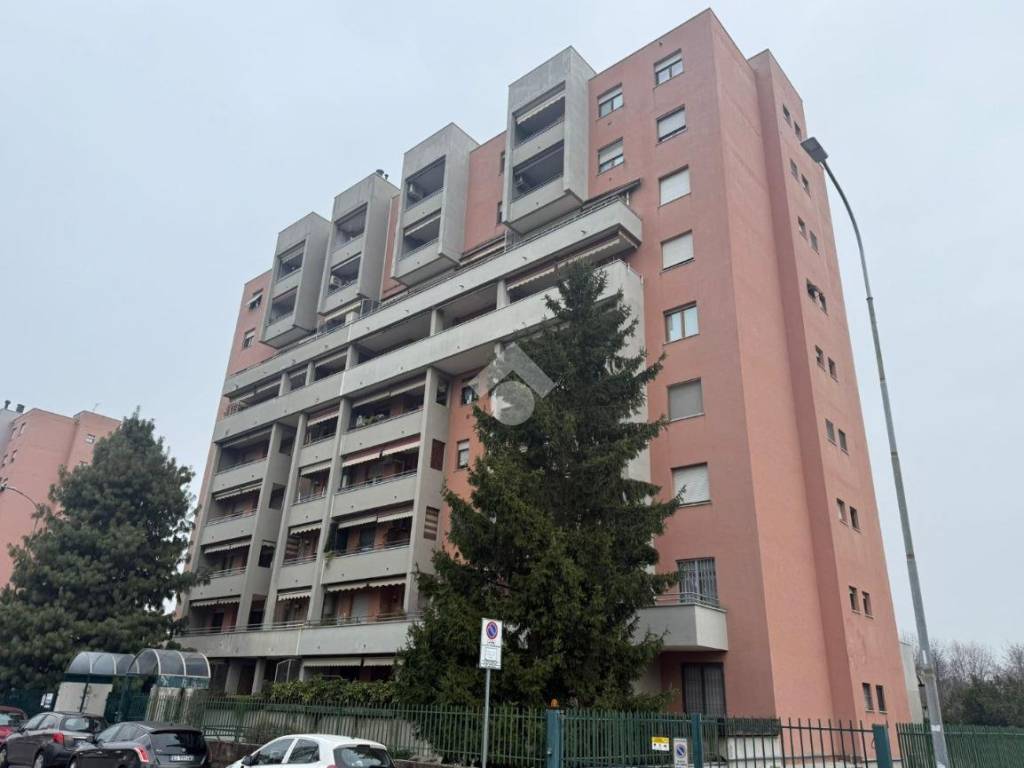 appartamento in affitto a Monza