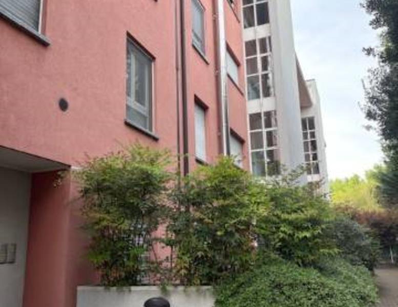 appartamento in affitto a Monza