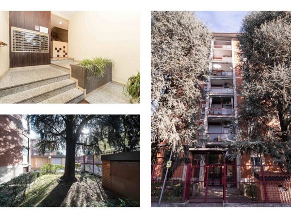 appartamento in affitto a Monza