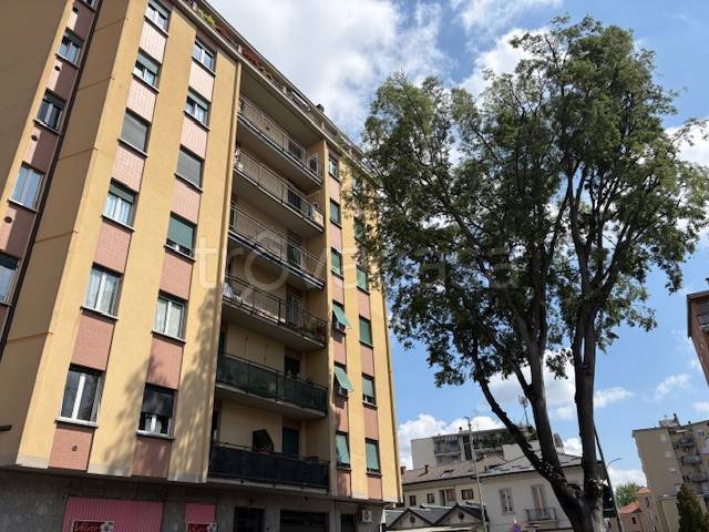 appartamento in affitto a Monza