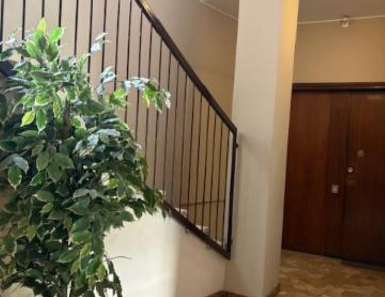 appartamento in affitto a Monza