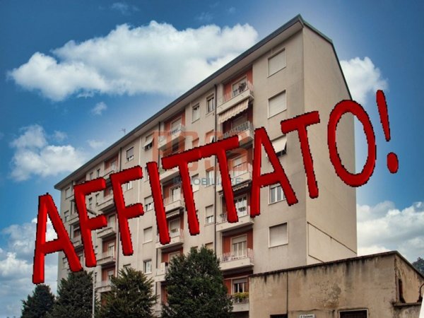 appartamento in affitto a Monza