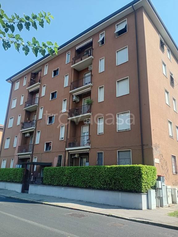 appartamento in affitto a Monza