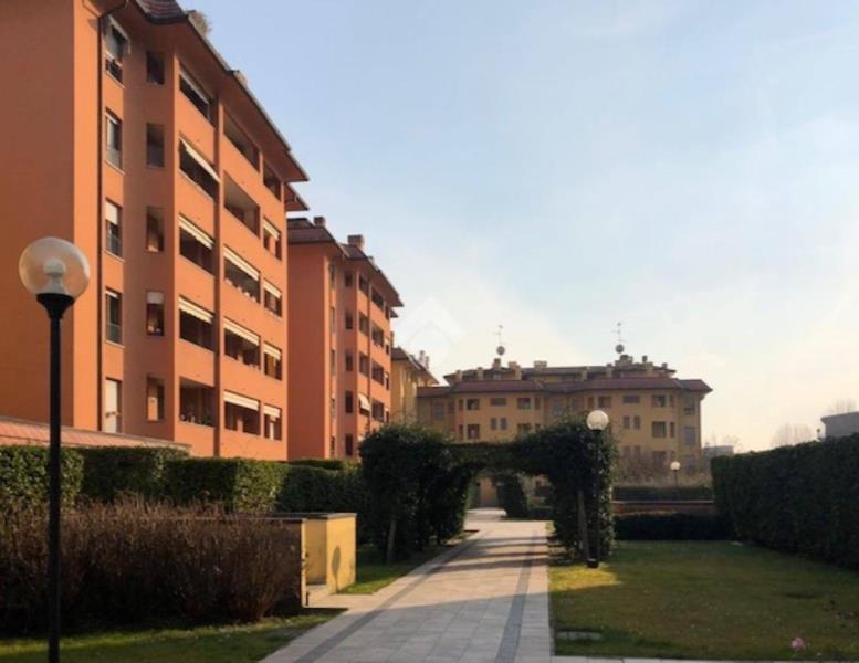 appartamento in affitto a Monza