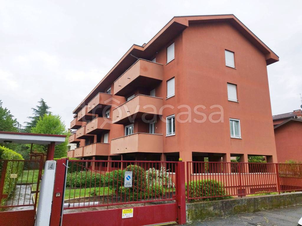 appartamento in affitto a Monza