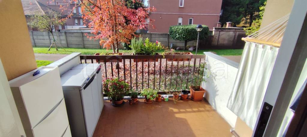 appartamento in affitto a Monza