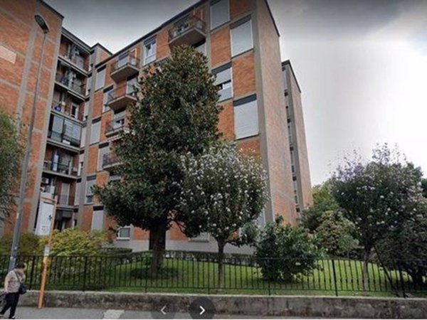 appartamento in affitto a Monza