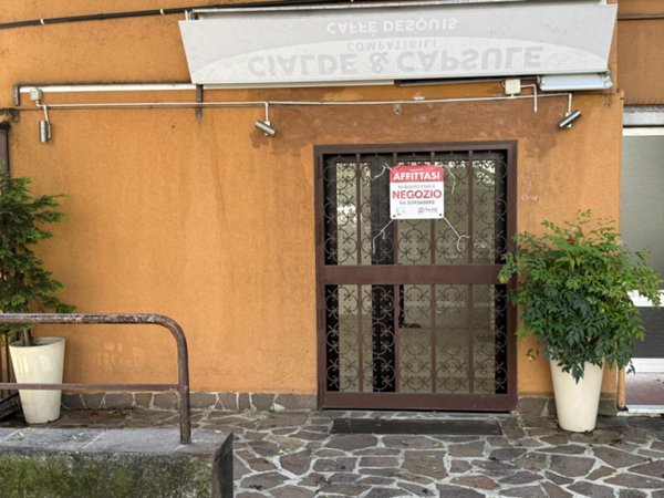 negozio in affitto a Monza