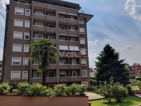 appartamento in affitto a Monza