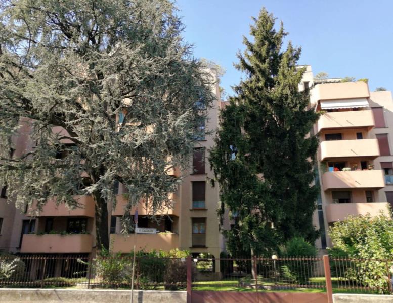appartamento in affitto a Monza