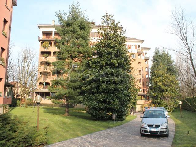 appartamento in affitto a Monza