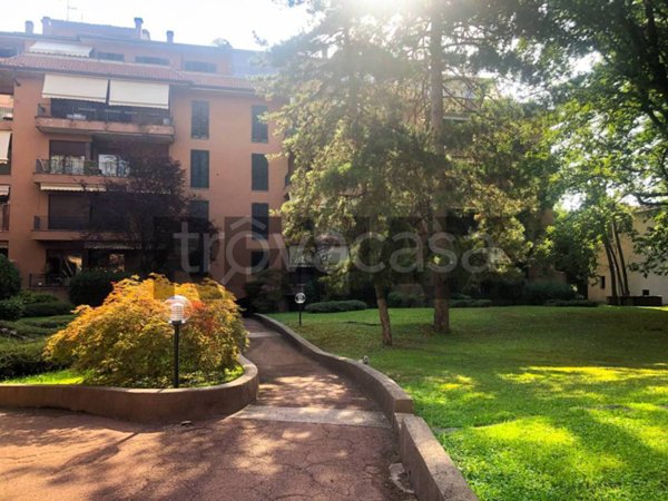 appartamento in affitto a Monza