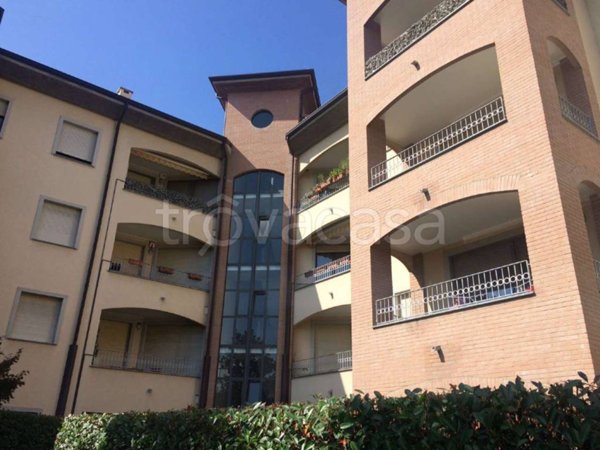 appartamento in affitto a Monza