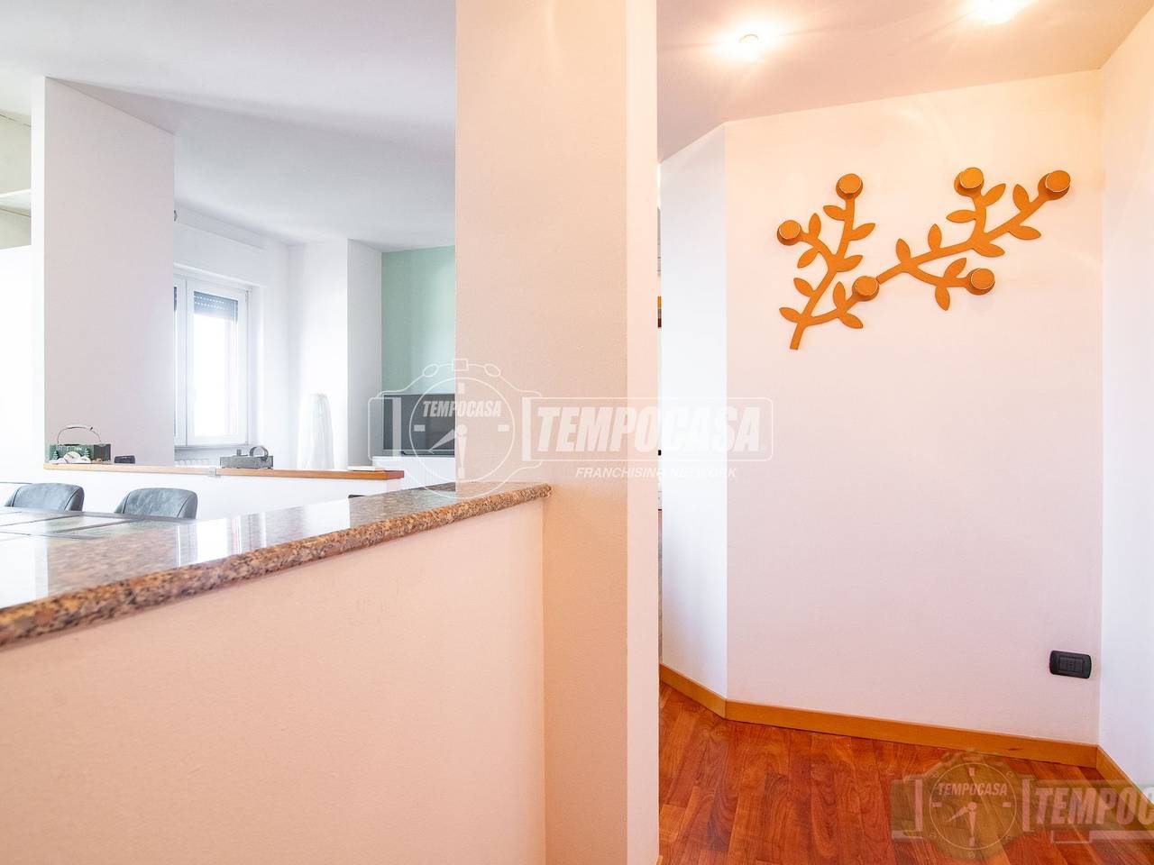 appartamento in affitto a Monza