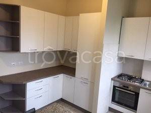 appartamento in affitto a Monza