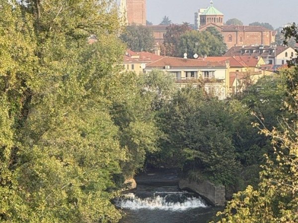 appartamento in affitto a Monza