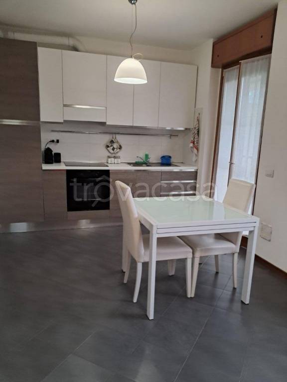 appartamento in affitto a Monza
