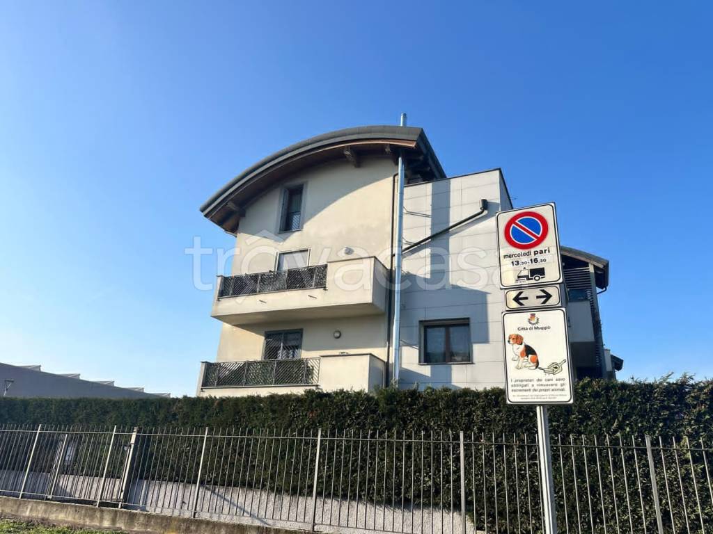 appartamento in affitto a Muggiò in zona Taccona