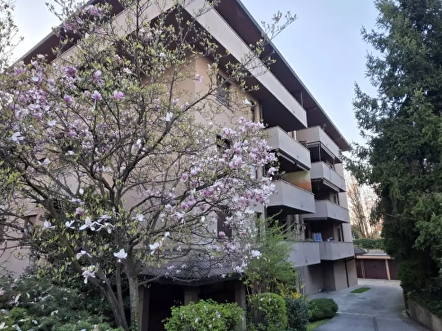 appartamento in affitto a Nova Milanese