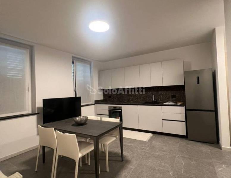 appartamento in affitto a Seregno