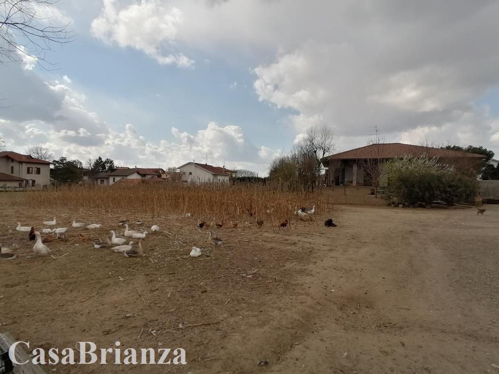 appartamento in affitto a Sovico