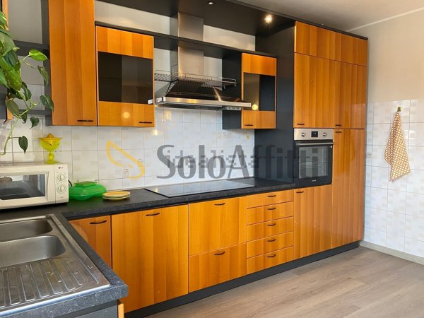 appartamento in affitto a Vedano al Lambro