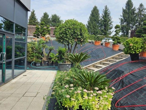 locale commerciale in affitto a Lentate sul Seveso