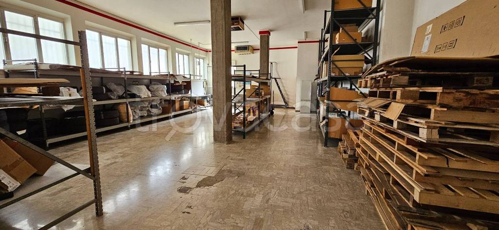 locale commerciale in affitto a Montegranaro