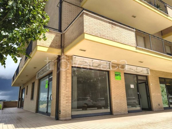 appartamento in affitto a Montegranaro