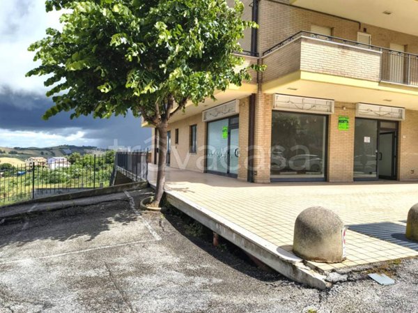 appartamento in affitto a Montegranaro