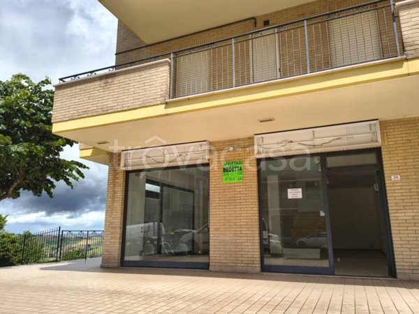 appartamento in affitto a Montegranaro